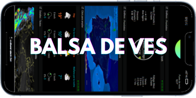 E.M. Balsa de Ves