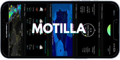 E.M. Motilla